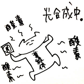 にゃんこ