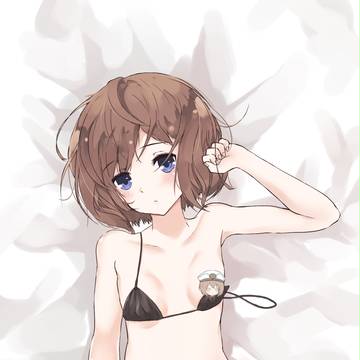 ブランの抱き枕