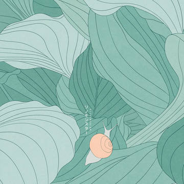 Slow life