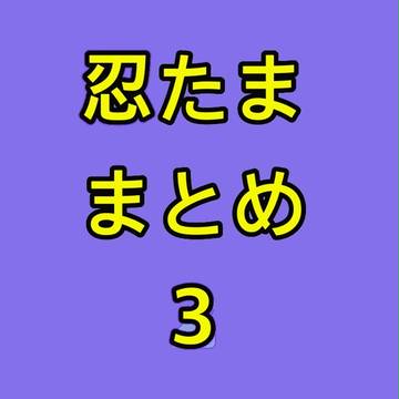 忍たままとめ3