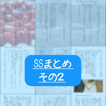 SSまとめその2【SolidSプラス】