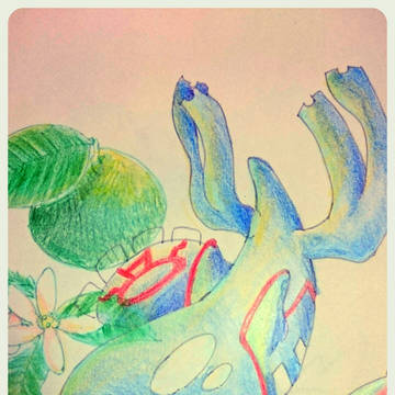 カイオーガ