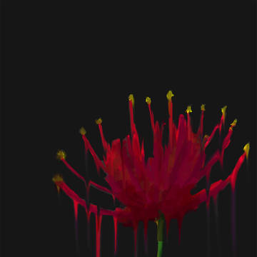 彼岸の花