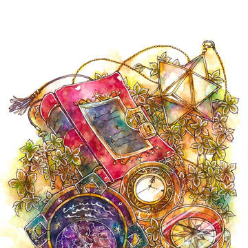 星見の日記