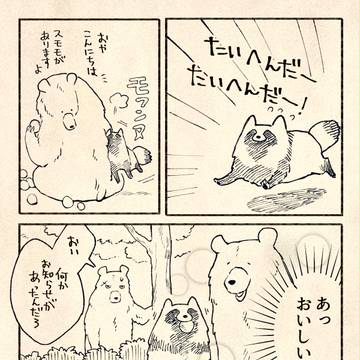 クマとたぬき　書籍化のお知らせ【6月15日発売】
