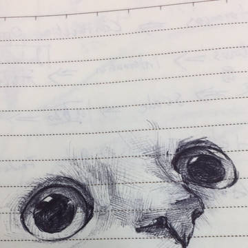 茶トラ