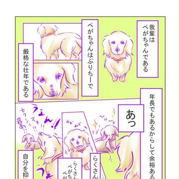 我輩はぺがちゃん【紹介編】