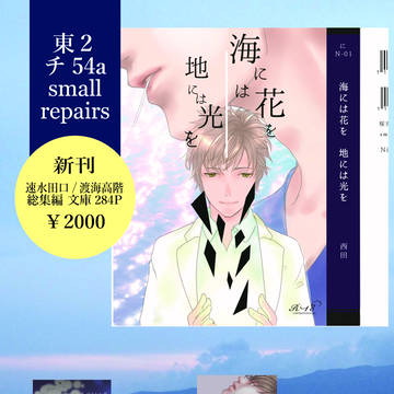 SCC27 頒布品