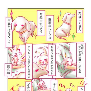 私はらくさん【紹介編】