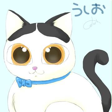 うたん