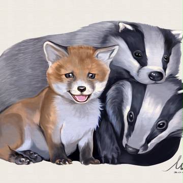 狐狸和獾