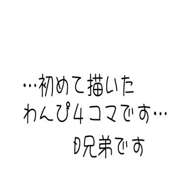 わんぴ楽画記４コマ