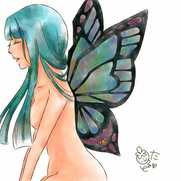蝶の擬人化