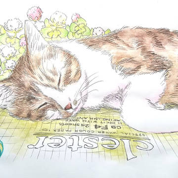 猫とスケッチブック