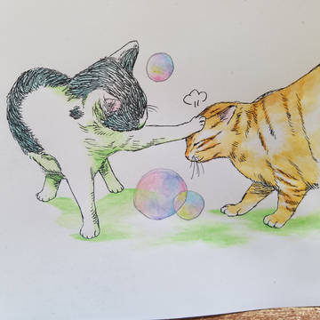 暇を持て余した猫たちの遊び