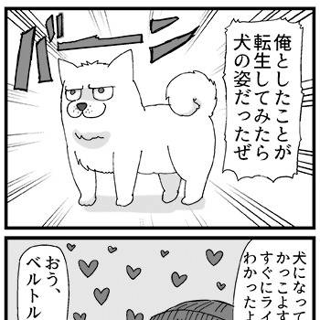 超壁博 新刊通販のお知らせ