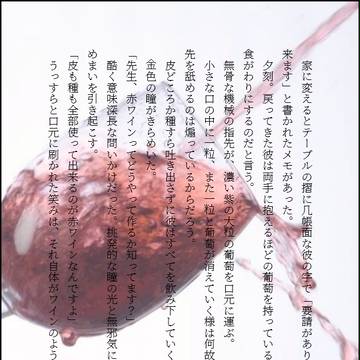 初SS文庫メーカーと通販のお知らせ