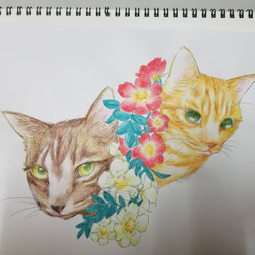 猫と野ばら