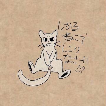 しこるねこ