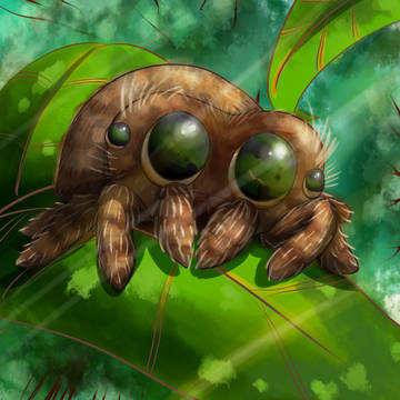 spider==cute