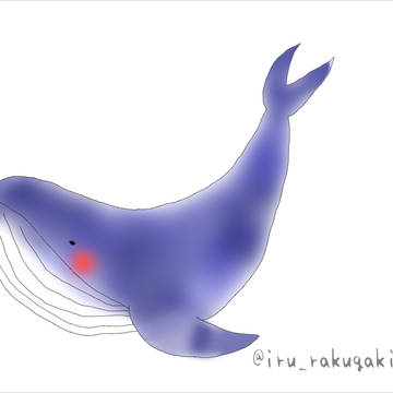 クジラ