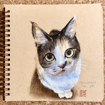 愛猫 みるくちゃん16歳！