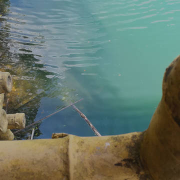 湖