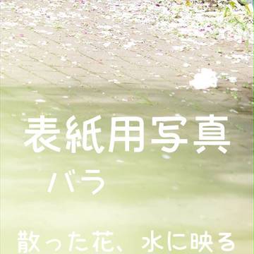 表紙用素材07【薔薇 散った花、水に映った花】