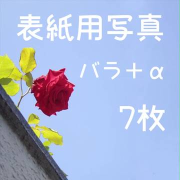 表紙用素材08【薔薇+α(背景など)】