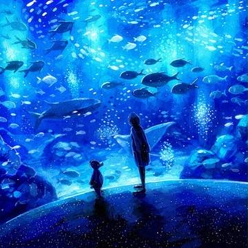 海の宝石