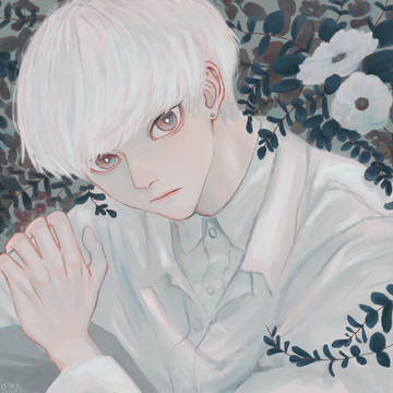 白い花