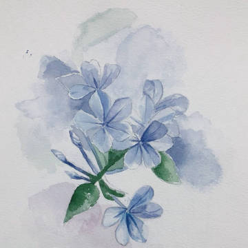 水彩联系