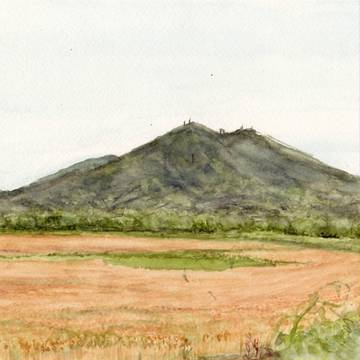 スケッチ№９３　5月の曇天　小麦畑と霞む筑波山