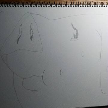 初めて描いたホークのイラスト