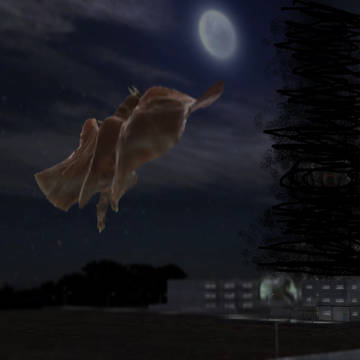 ヘドラ作戦