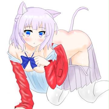 猫耳有栖