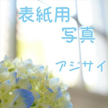 表紙用素材09【紫陽花】