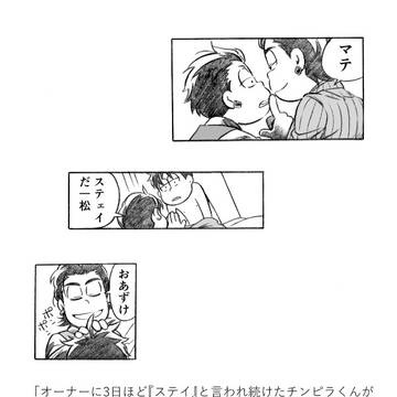 きばをむくねこ