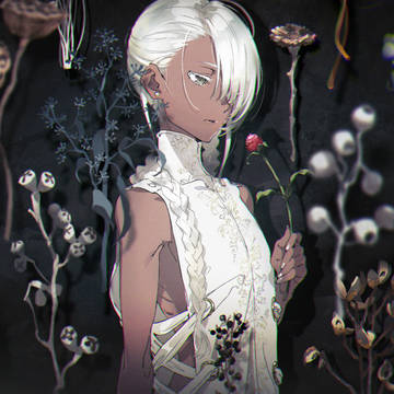 everlasting -plants-