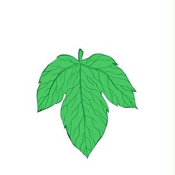 王宮10無配