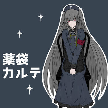 【薬袋カルテ】