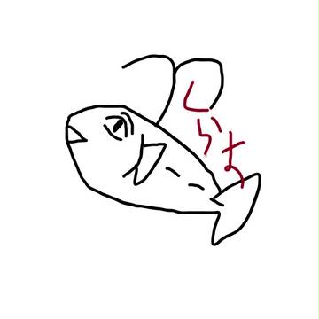 初投稿