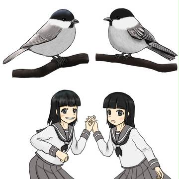 ハシブトガラ・コガラ