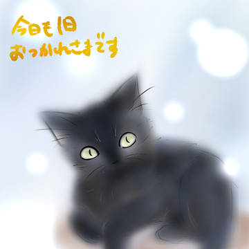 窓辺の主