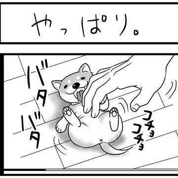 やっぱり。