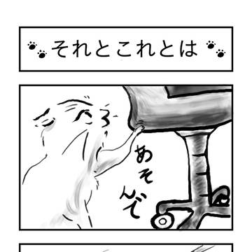 ねぇ、ふーちゃん!
