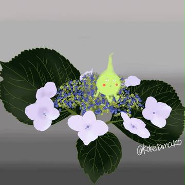 紫陽花の上で待ち合わせ