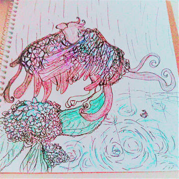紫陽花と極楽鳥