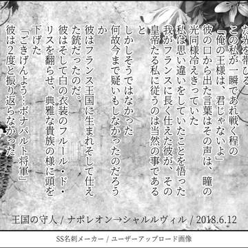 王国の守人
