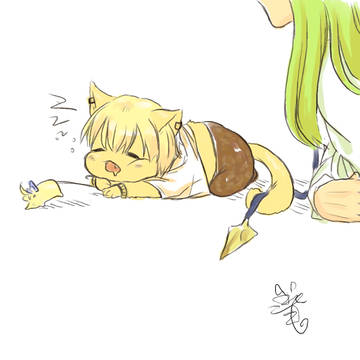 貓閃